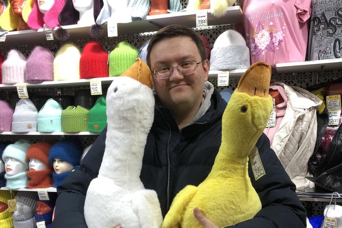 Плюшевые гуси победили акул, захватили город и растопили сердца москвичей