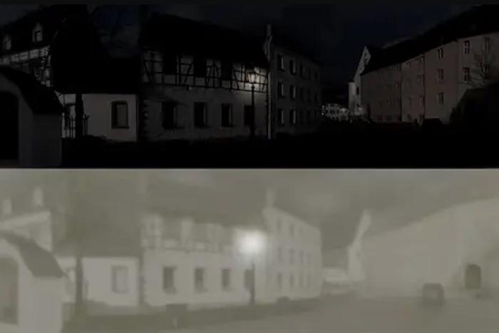 Кошка смотрит на мир шире, чем человек, но путается в цветах