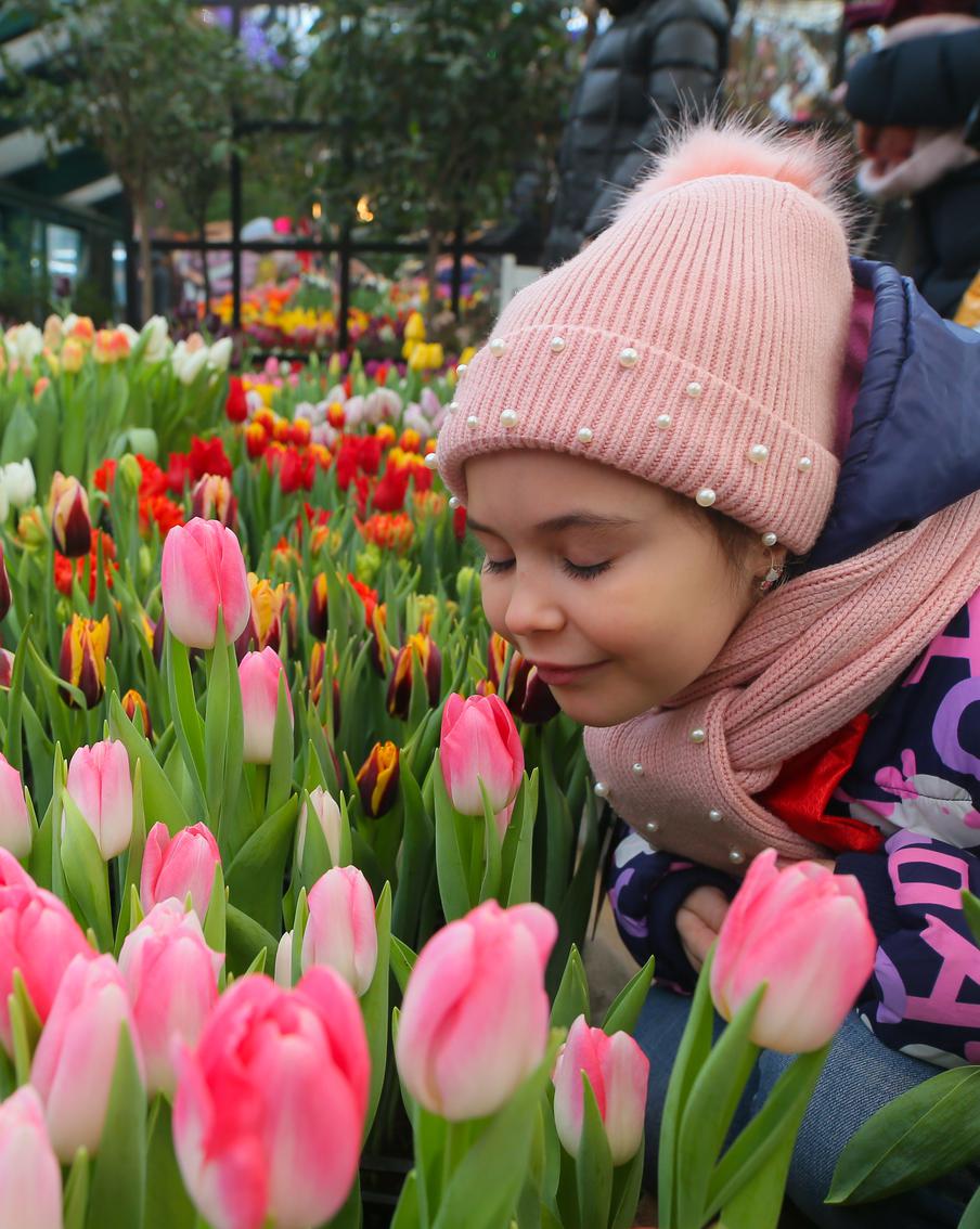 Хочется тепла, ароматов и красок! Весна уже пришла в Москву. Самая цветочная выставка столицы открылась в "Аптекарском огороде"