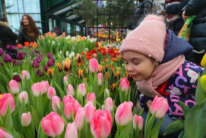 Хочется тепла, ароматов и красок! Весна уже пришла в Москву. Самая цветочная выставка столицы открылась в "Аптекарском огороде"
