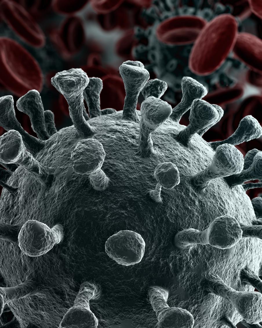 Заболеваемость коронавирусом за прошедшую неделю резко возросла