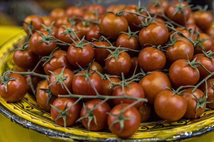 Российские учёные вывели новый сорт томатов, снижающий холестерин