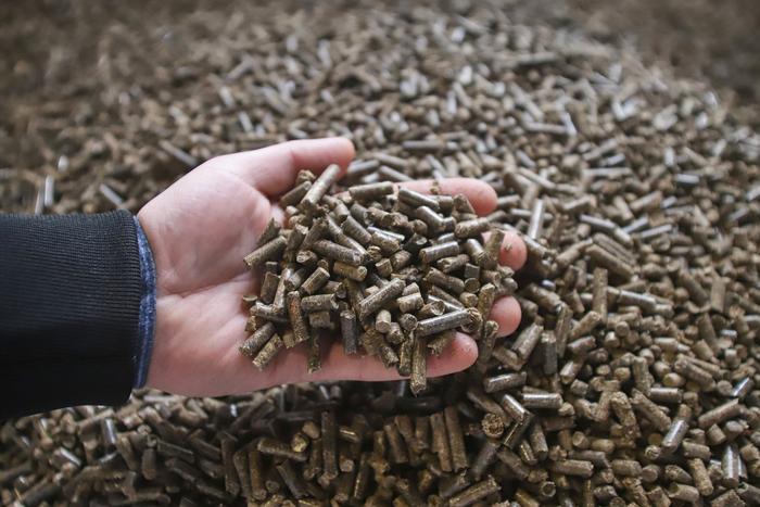 Президент пошёл навстречу лесу: Россия перейдёт на генерацию тепла и электричества из дерева