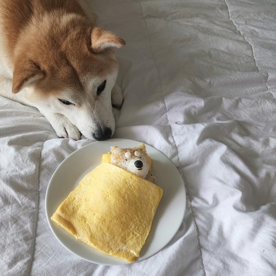 Шиба-ину смотрит на свою спящую рисовую копию.