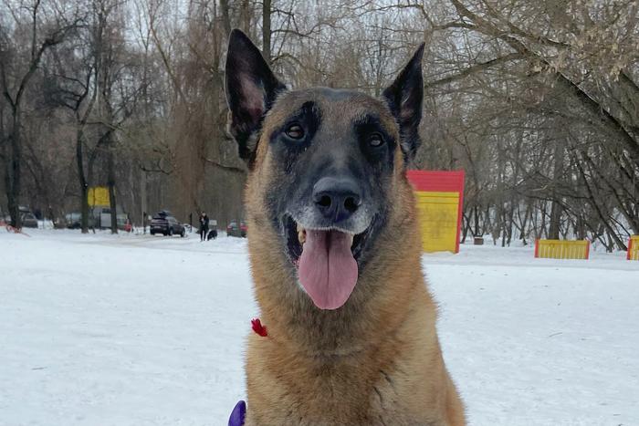 Чемпион России по мондьорингу облизал репортёра Metro и показал свой ум
