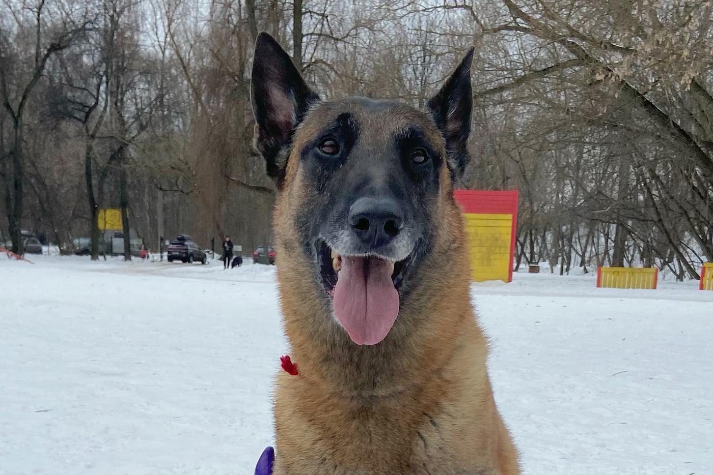 Чемпион России по мондьорингу облизал репортёра Metro и показал свой ум