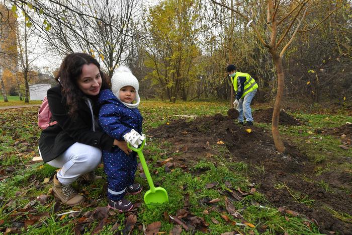 Проект "Наше дерево" очень популярен среди москвичей. Семья может посадить деревце, и малыш будет наблюдать, как оно растёт и развивается