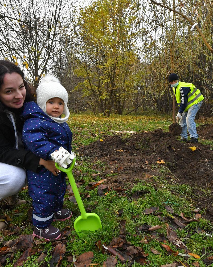 Проект "Наше дерево" очень популярен среди москвичей. Семья может посадить деревце, и малыш будет наблюдать, как оно растёт и развивается