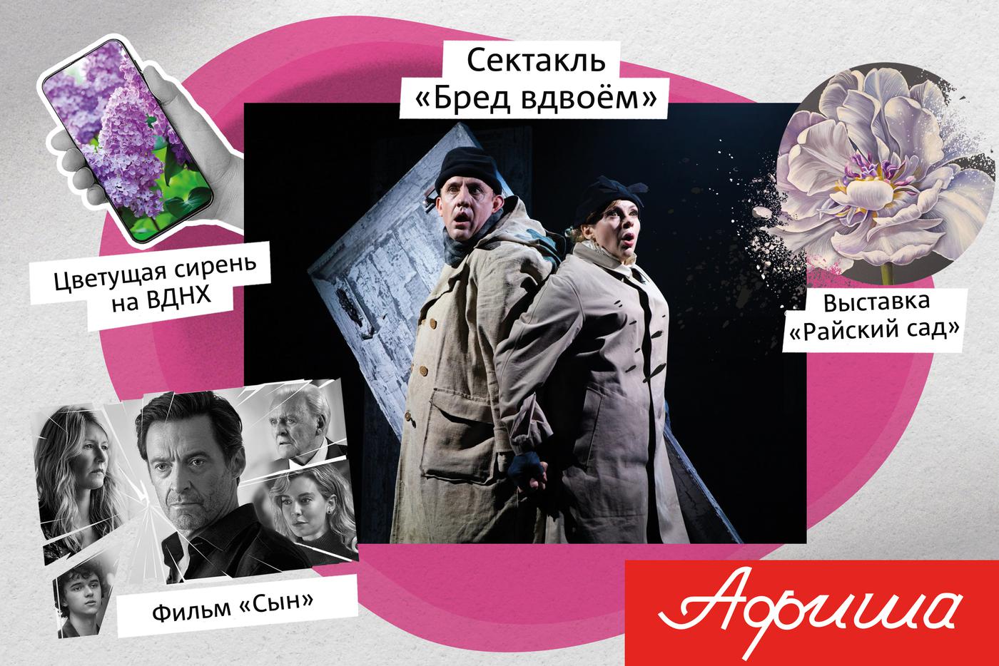 Учимся вязать морские узлы, любуемся сиренью или погружаемся в непростые семейные отношения