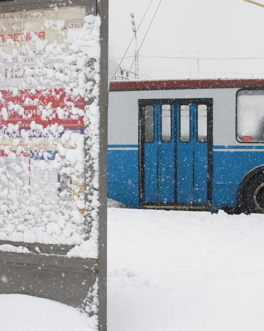 Двух лошадей ударило током в центре Москвы: одну из них смертельно