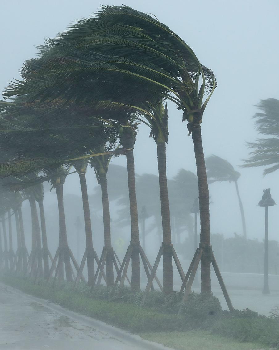 В южной Калифорнии впервые за 30 лет мощная буря засыпает пляжи снегом