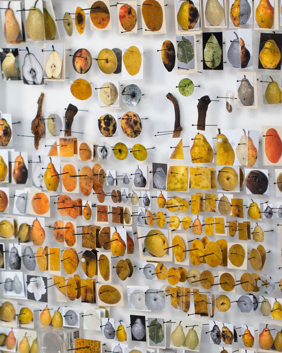 Необычные работы художника Майкла Мейпса