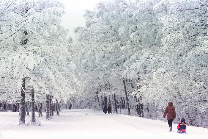 В Москве ожидается сильная гололедица