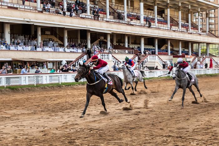 Реконструкция Московского ипподрома не приведёт к уничтожению коневодства