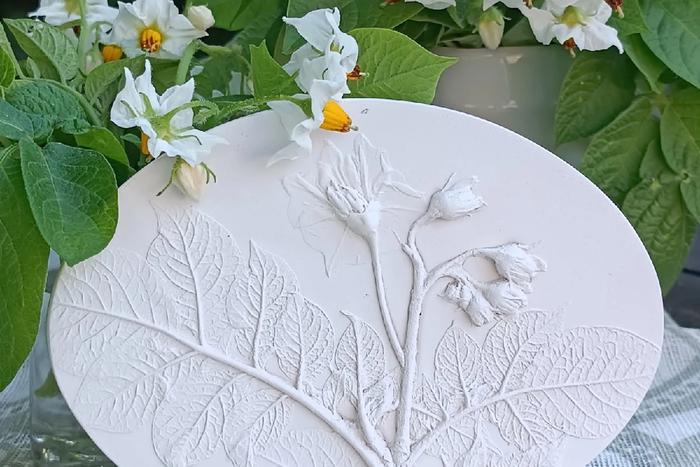 Аптечка в ботанических барельефах: чертополох в гипсе бережёт от стресса