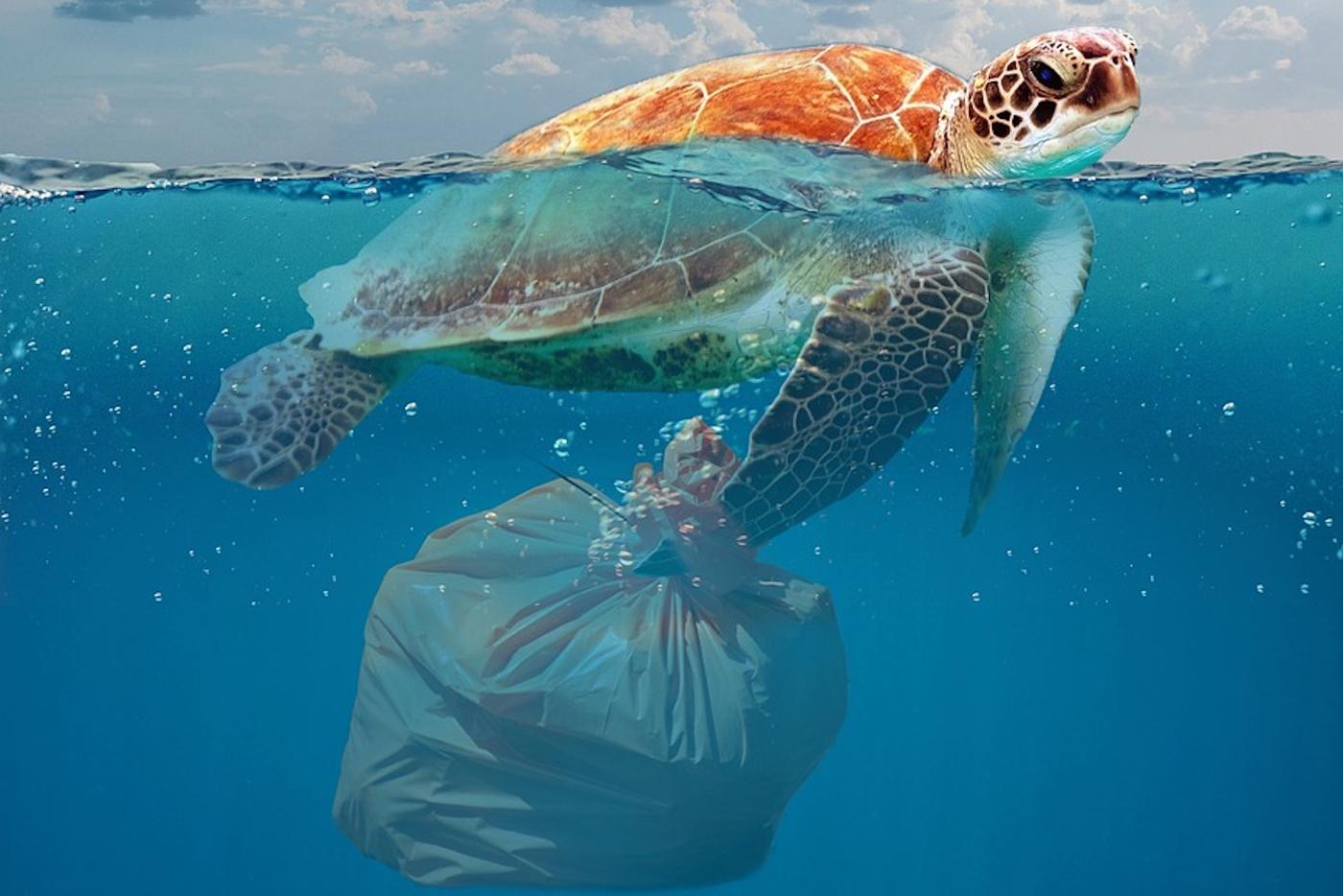 Учёные научились перерабатывать полиэтилен, превращая его в нужные человечеству лекарства