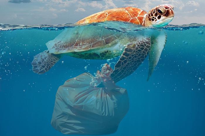 Учёные научились перерабатывать полиэтилен, превращая его в нужные человечеству лекарства