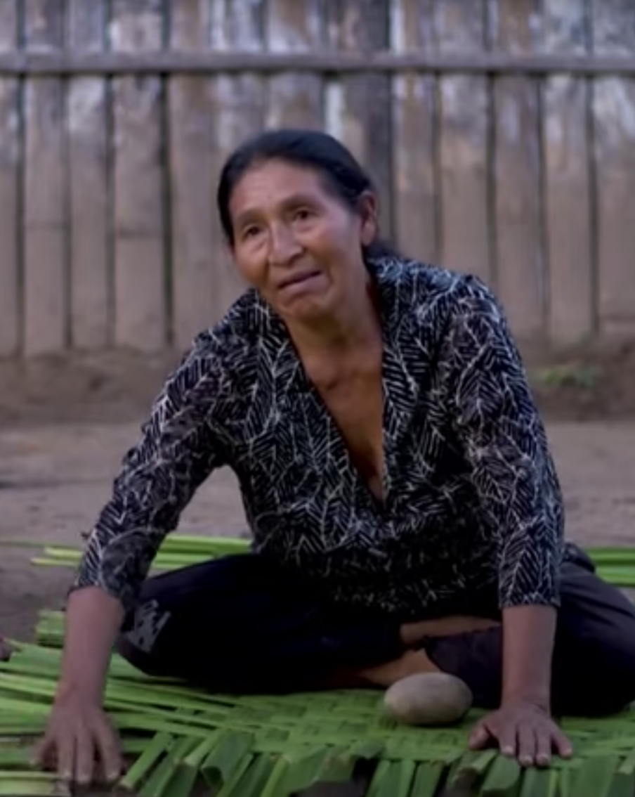 В Южной Америке есть племена, которые не страдают болезнями сердца и мозга. Как им это удаётся?