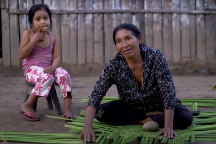 В Южной Америке есть племена, которые не страдают болезнями сердца и мозга. Как им это удаётся?