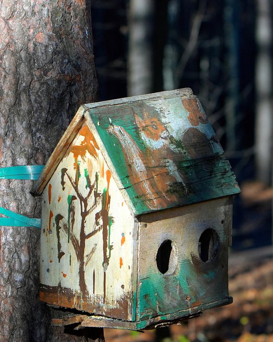 Пробуждаемся после зимней спячки и учимся танцевать: начинаем апрель с Дня смеха и веселимся весь месяц