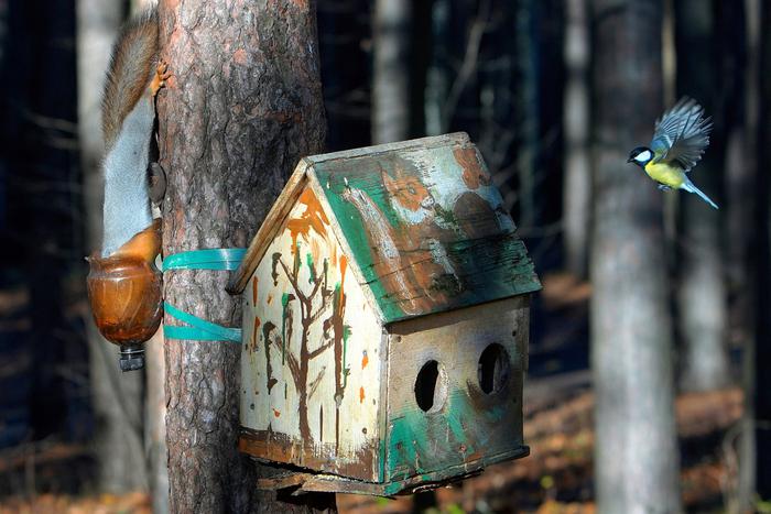 Пробуждаемся после зимней спячки и учимся танцевать: начинаем апрель с Дня смеха и веселимся весь месяц