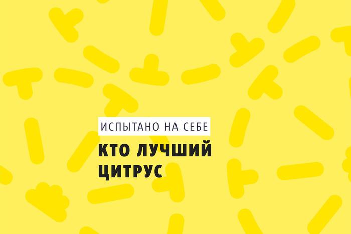 Естественный отбор: выбираем зимний цитрусовый аромат