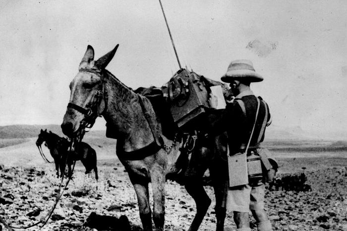 Индийская армия к 2030 году планирует закупить американских роботов-мулов