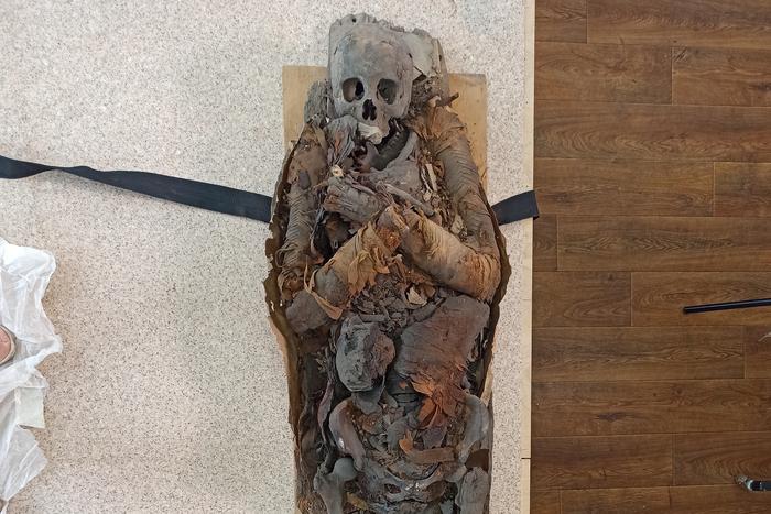 Даже мумии путешествуют: как древние египтяне с берегов Нила переехали в Пермь и посетили Москву