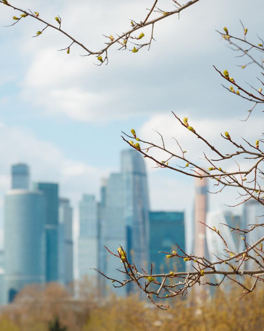 Синоптики рассказали москвичам о погоде в пятницу и в выходные