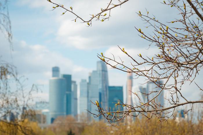 Синоптики рассказали москвичам о погоде в пятницу и в выходные