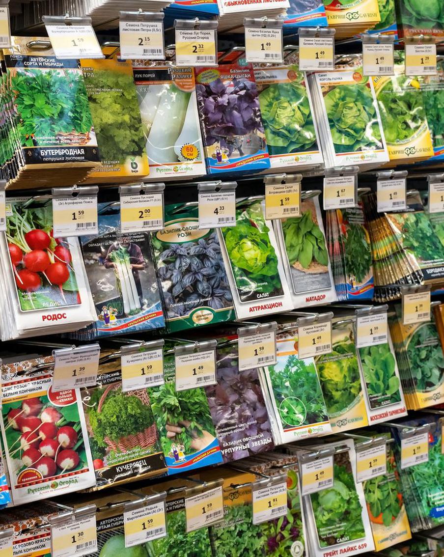 Огурцы, кабачки, капуста и томаты: выбираем семена для богатого урожая