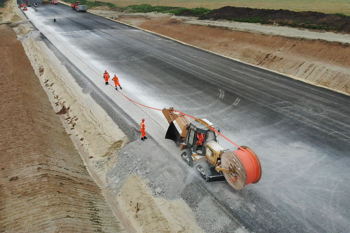 Умный асфальт против оленей: новая технология повысит безопасность автомобилистов