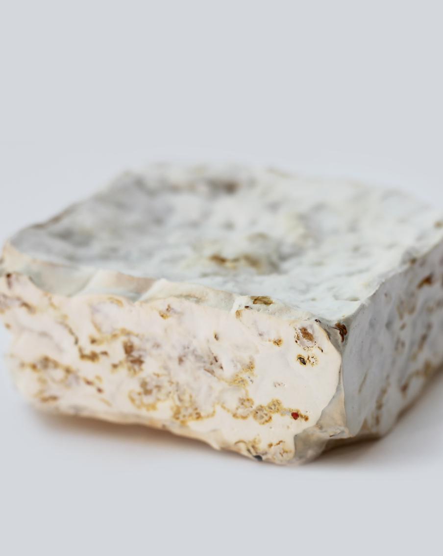 Грибы поедают отходы, которые потом становятся предметами интерьера. Вторая жизнь окурков и кассовых чеков