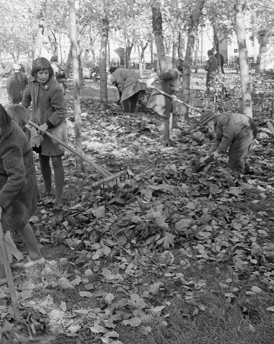 Обязаловка или праздник? У советских субботников древние корни