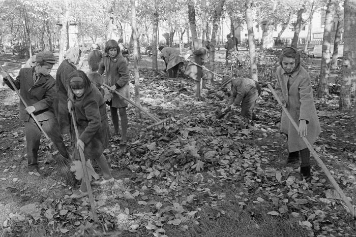 Обязаловка или праздник? У советских субботников древние корни