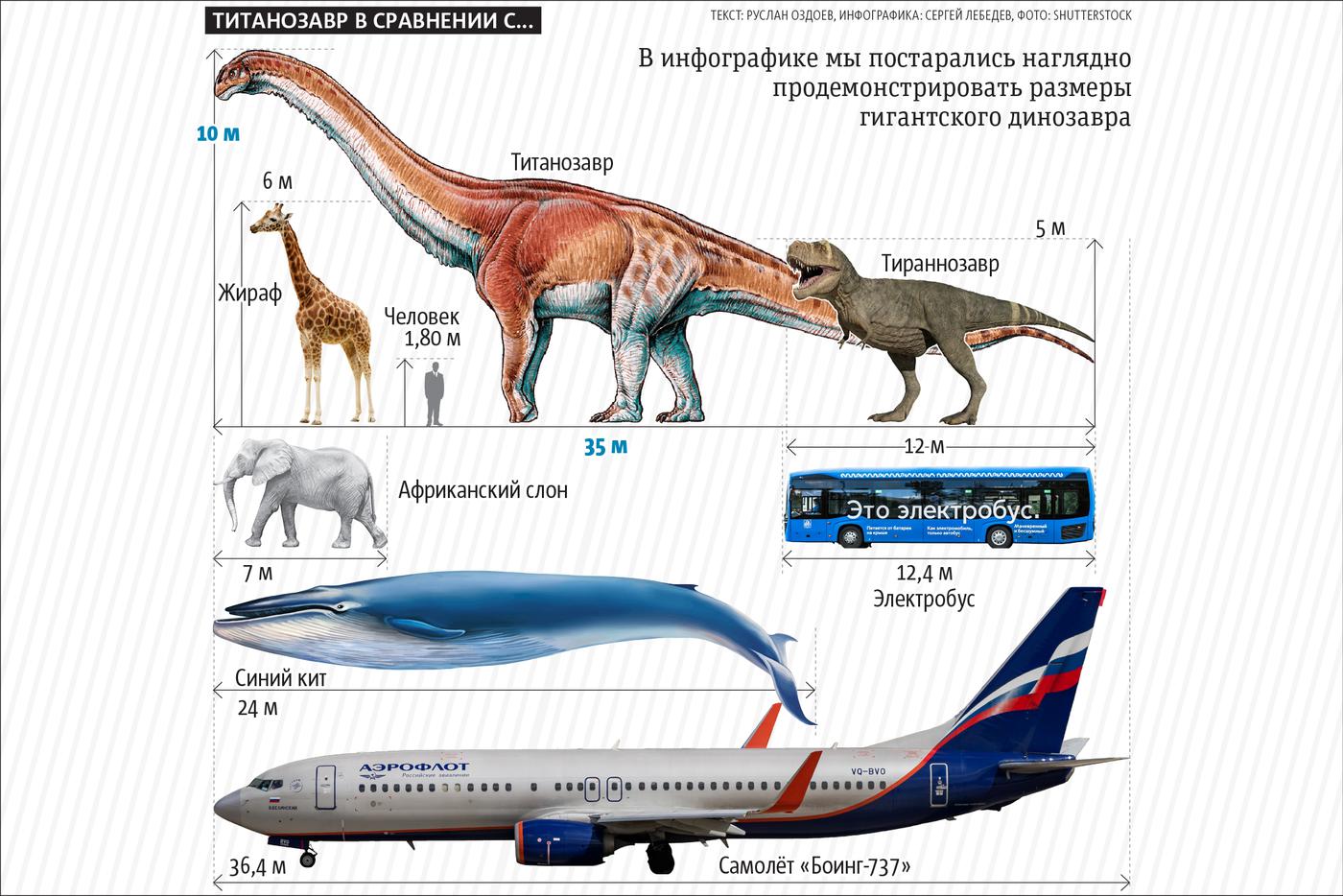 Вот это размеры!