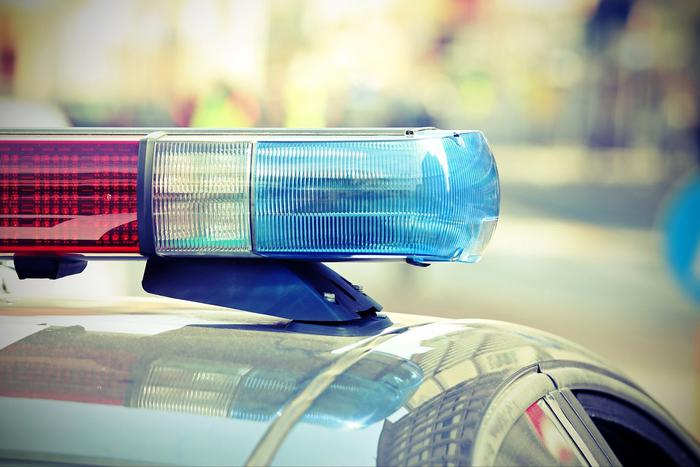 Омская блогерша стала фигурантом уголовного дела