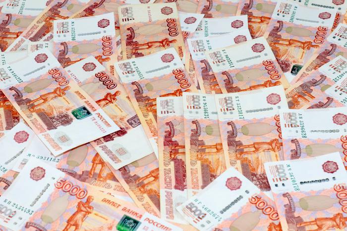 Минфин не стал поддерживать инициативу Анатолия Вассермана