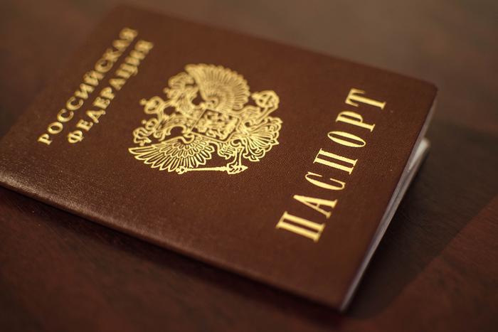 В Государственной думе приняли закон о гражданстве