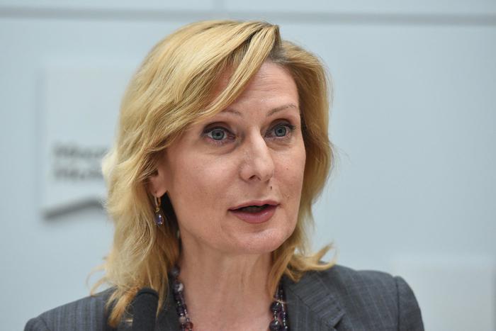 Сенатор Святенко: Помощь мамам дошкольников в развитии карьеры и бизнеса онлайн востребована в столице