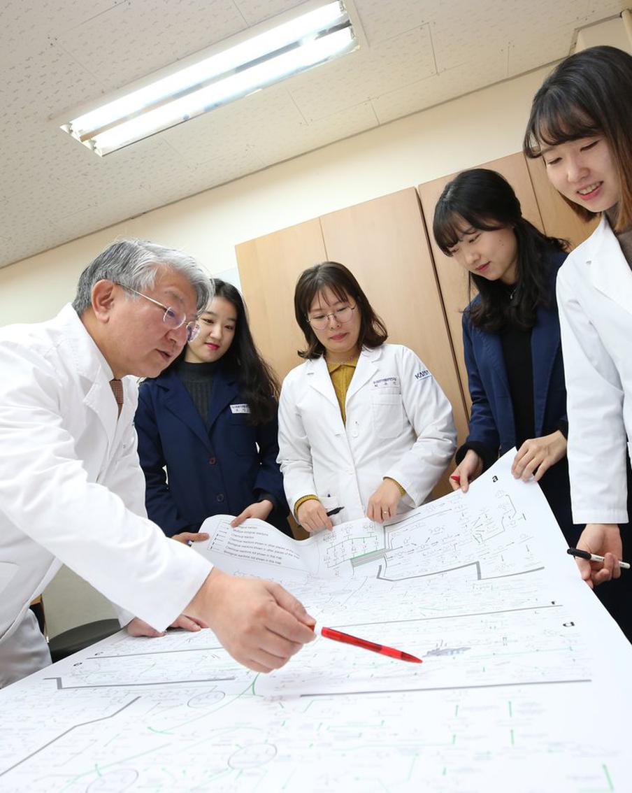 Учёные из Южной Кореи научились превращать углекислый газ в пластик, из которого можно делать повседневные вещи