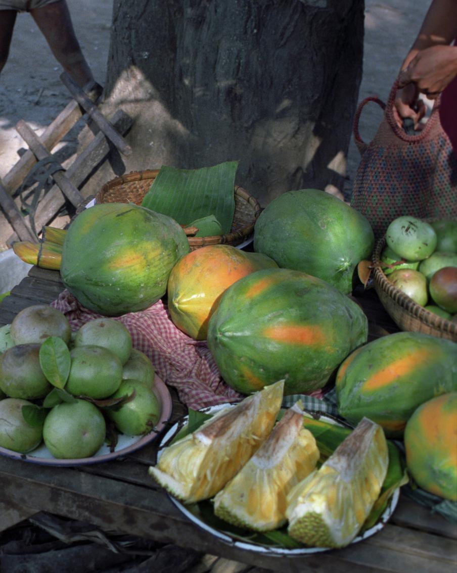 Учёные доказали пользу манго для людей с ожирением