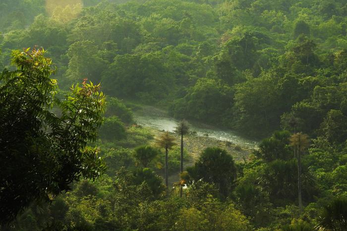 Новое землетрясение произошло в Индонезии