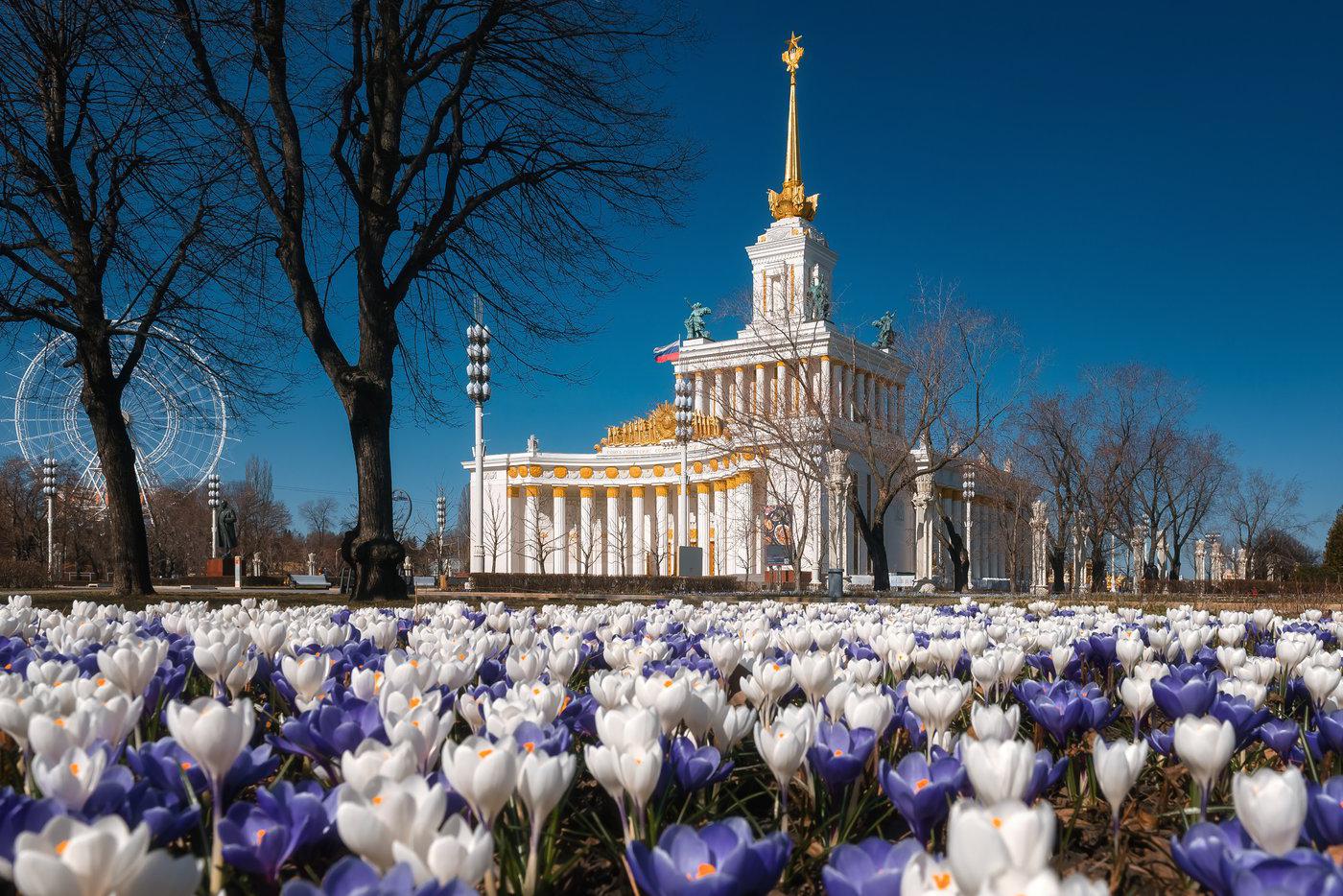 Москва апрель 2019. Март в Москве.