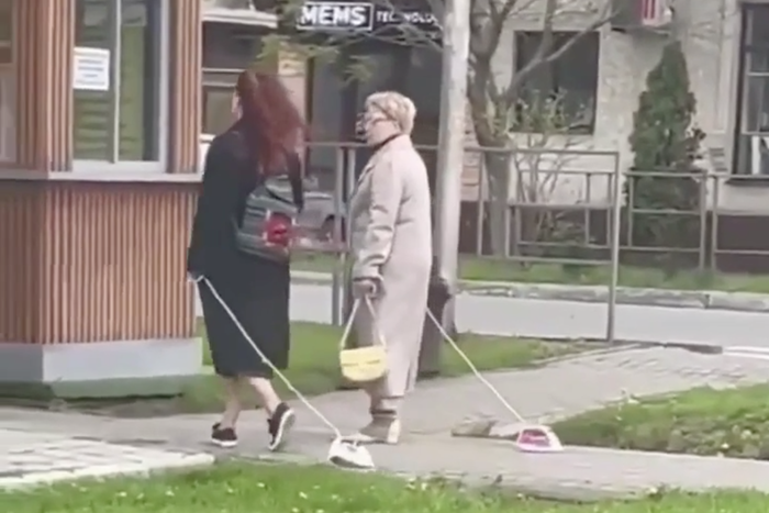 "Он не кусается": зачем люди выгуливают утюги вместо собак