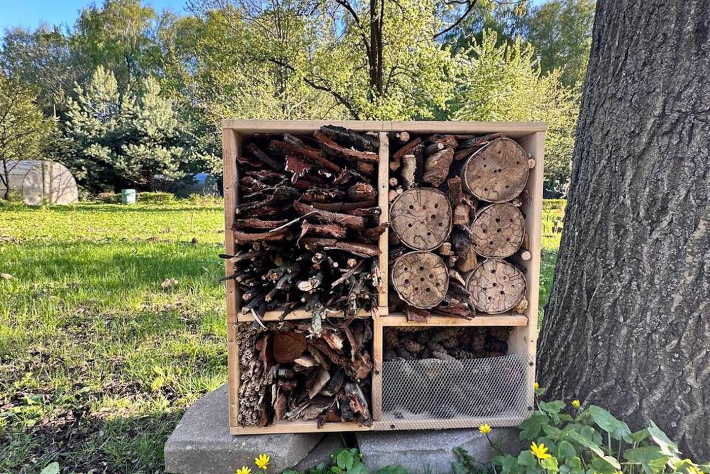 Божьим коровкам тоже надо где-то жить: в Москве строят гостиницы для насекомых