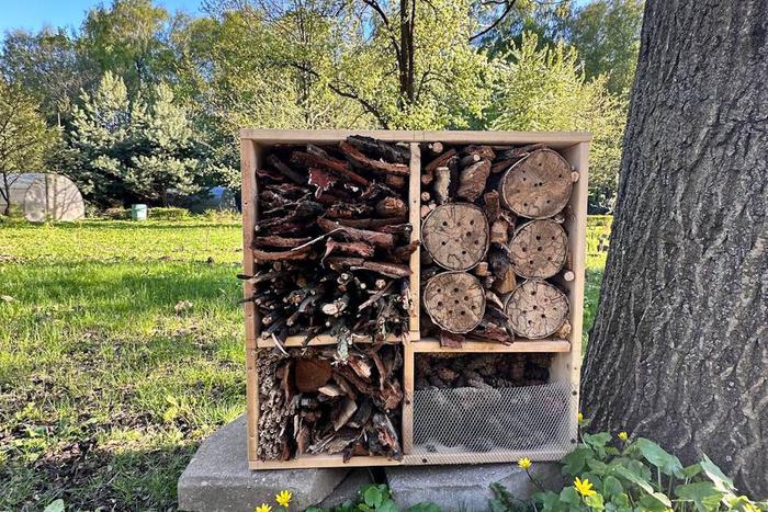 Божьим коровкам тоже надо где-то жить: в Москве строят гостиницы для насекомых