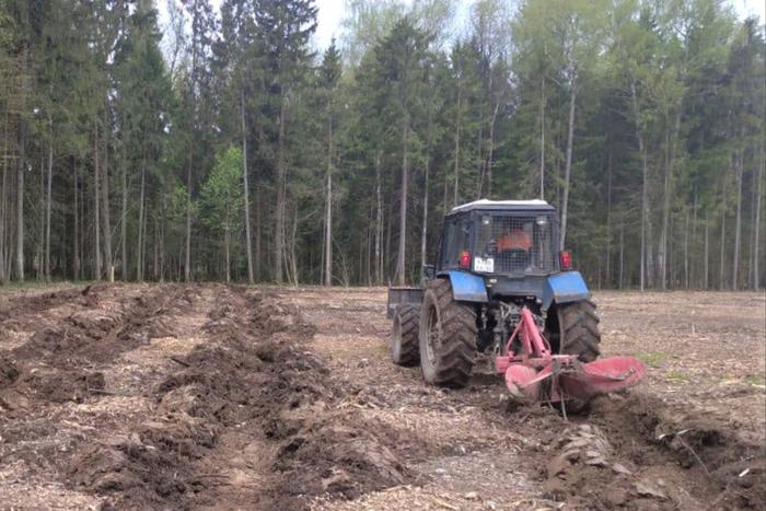Подготовка к традиционной акции "Лес Победы" полностью завершена