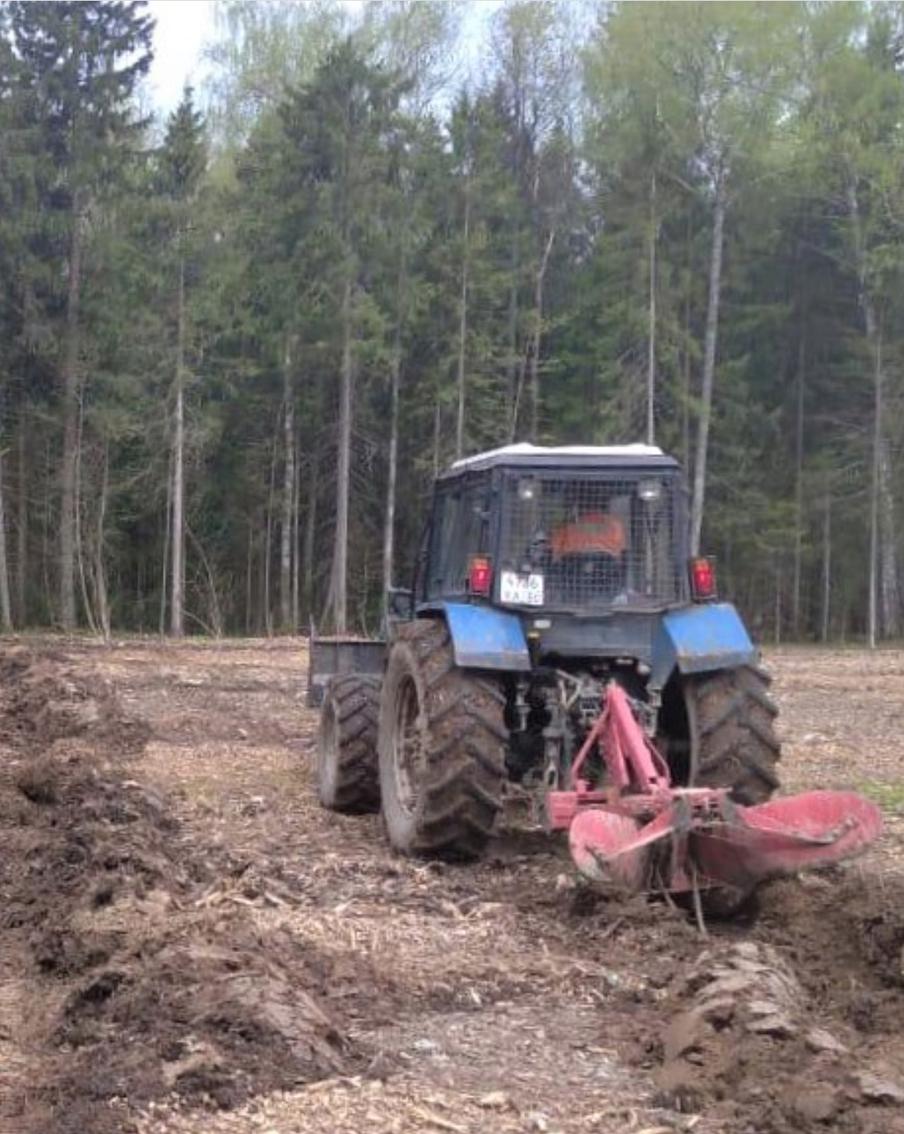 Подготовка к традиционной акции "Лес Победы" полностью завершена