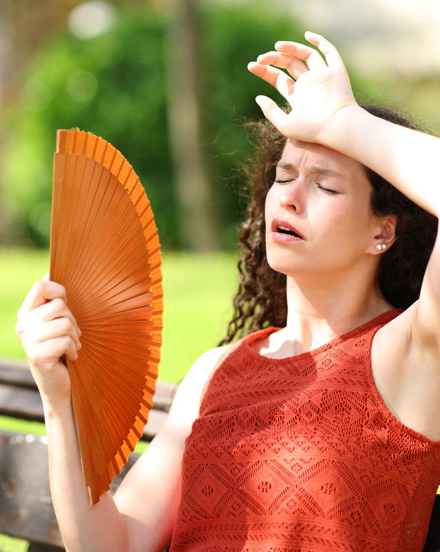 Учёные установили, что рекордная жара в Испании стала следствием изменения климата на планете